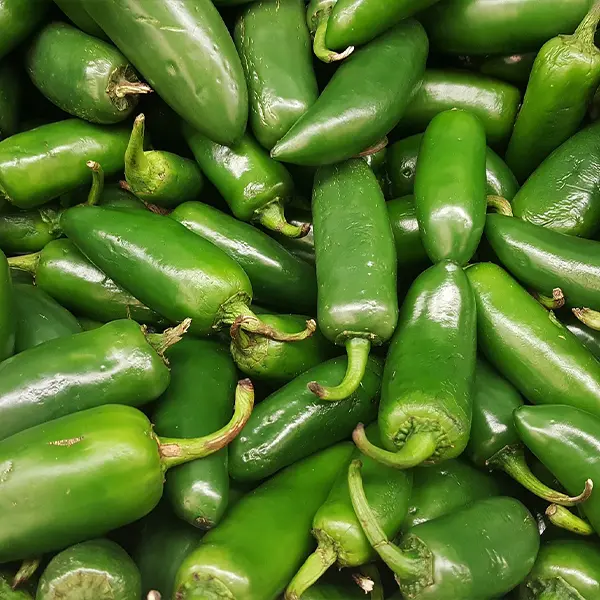 Jalapenos Fresh Produce Jalapenos Fresh Produce